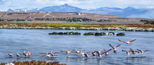 City Tour El Calafate – Perlas del Sur - Imagen 7