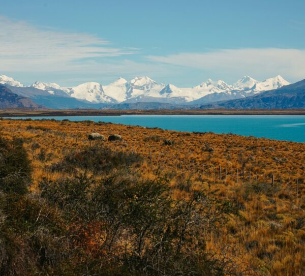City Tour El Calafate – Perlas del Sur